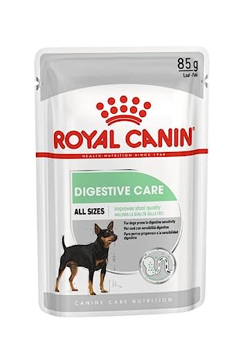 ROYAL CANIN Digestive Care Paté para Perros Comida Húmeda, Caja Completa 12 x Sobres 85 gr