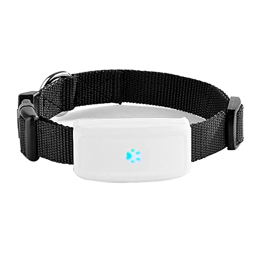 Collar GPS Gatos Perros Seguimiento en Tiempo Real a Prueba de Agua IP66 Localizador GPS para Perros con APP Gratuita GSM GPRS Anti-perdida Gatos Dog Rastreador GPS sin Suscripción TK911