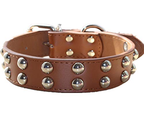 haoyueer Collar de perro de cuero de 1.2 pulgadas de ancho con tachuelas para razas medianas y grandes Pitbull Terrier (M, marrón)