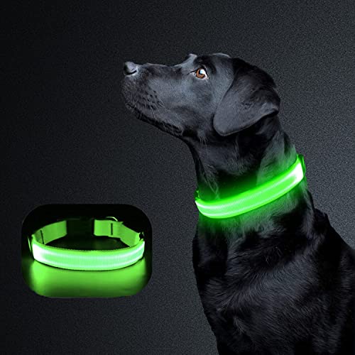 Liebsen Collar Luminoso Perro de Mascota, Collar Recargable 3 Modos y Collares LED Ajustable para Perros Pequeños y Medianos Luminoso en la Noche-L (Verde)