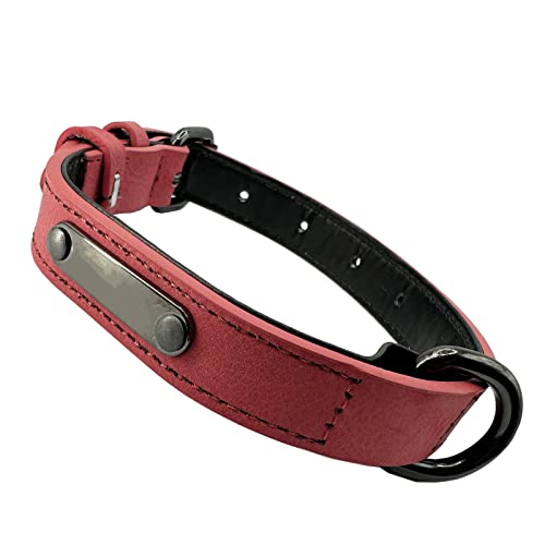 Collar Perro, Collar de Perro de Cuero en Piel Ajustables Resistentes para Perros Pequeños, Medianos, Grandes (XS: 1,5 CM de Ancho para Cuello de 26 CM - 35 CM, Rojo-Nuevo)