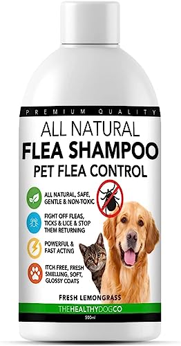 The Healthy Dog Co Champú antipulgas Completamente Natural | Limoncillo | 500ml | El Mejor Tratamiento para Perros y Gatos | Fórmula Potente y Segura | Mata y controla pulgas garrapatas y piojos