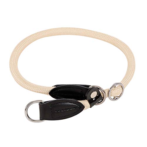 lionto Collar de Perros Collar Retriever Collar de adiestramiento, Longitud 45 cm Beige