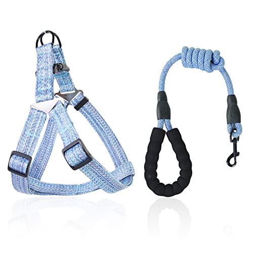 Arnés Perro Step-In Nylon, Ajustable Arnés para Perro Medianos y Grandes,con Almohadillas Blandas y Hebilla de PP,Azul,con una Correa para Perro Resistente,para para Adiestrar, Pasear (M)