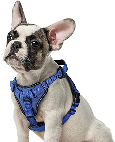 rabbitgoo Arnes Perros Arnés Chaleco Antitirones para Perros Grandes y Medianos con Correas Elásticas para Absorber Golpes Ajustable para Caminar con Asa de Fácil Control Reflectante, Azul M