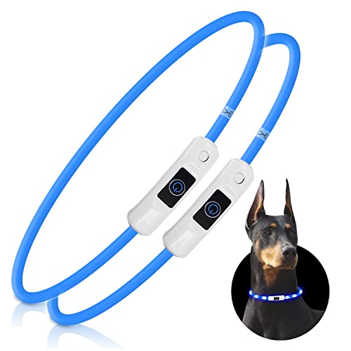 Nobleza - 2 × Collar Luminoso Perro de Seguridad Personalizado, 3 Modos Collar Luz Perro con USB Recargable, Ajustable Impermeable Collares LED para Perros Pequeños/Medianos/Grandes(Azul)