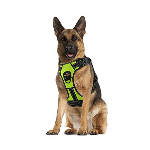 Arnes Perro Antitirones Pequeño Mediano Grande Arnés Pecho Perros Coche con Control de Manija y Linea Reflectante, Ajustable Cómodo Acolchado Arnes Chaleco Perro para Adiesreamiento(Verde, XL)