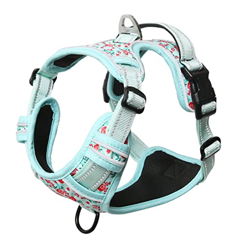 HEELE Arnés para Perro Arnés para Perro con Bonito Estampado Arnés Confort Chaleco Perro para Adiestramiento Correr con Agarre Acolchado y Líneas Reflectantes Arnés para Perro Mediano, Cian, M