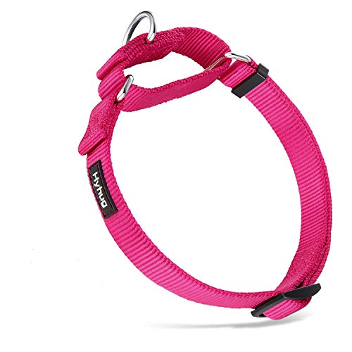 Hyhug Collar de Perro y niña Martingale pequeño Cachorro, Duradero, Que no se Puede Escapar: Entrenamiento a pie Uso Diario (Pequeño S, Rosa roja)