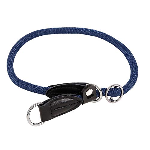 lionto Collar de Perros Collar Retriever Collar de adiestramiento, Longitud 40 cm Azul