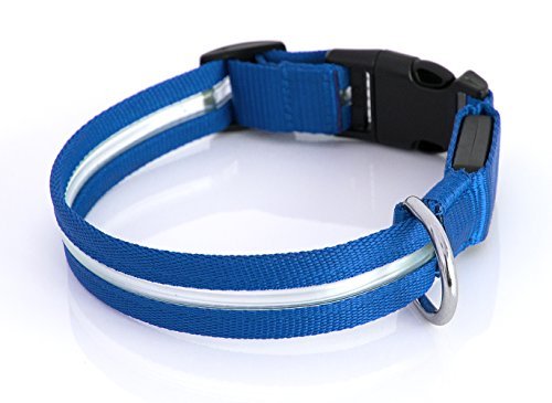 PRECORN - Collar con luz LED para perros, incluye batería, color azul