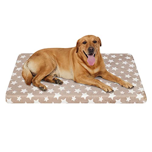 EMPSIGN Cama para Perros, Caseta para Perros Apta para Jaulas, Esterilla para Perros con Funda Extraíble y Lavable para Perros Pequeños XL 107x71 cm, Altura 6,6 cm, Beige