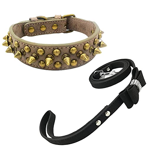 Newtensina Retro Bronce Tachonado Perro Collar y Correa Perrito Collar con Remaches para Pequeño Perros