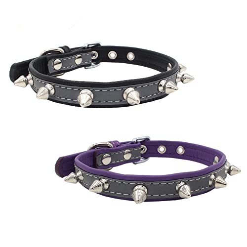 Newtensina 2 Piezas Collar de Perro Set Pinchos Collar de Perro Reflexivo Perrito Collar para Perros pequeños