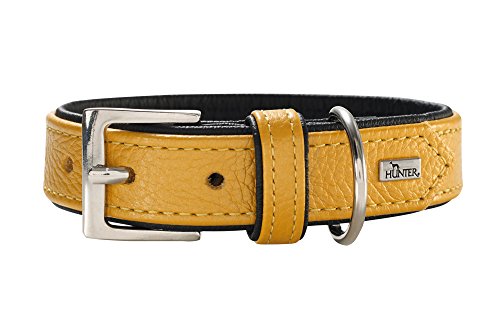 HUNTER Capri Collar para Perro de Piel, napa, Suave, 45 (S), Amarillo metálico