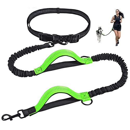 Correa para Perros Manos Libres, Unipampa Correa Manos Libres para Perros Elástica, Correa de Jogging para Perros, Ideal para Correr, Caminar, con Cinturón Ajustable, Banda Reflectante, Doble Manija