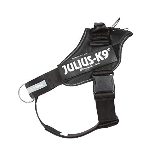 Julius-K9, Arnés de Perro IDC Powerharness con Control Frontal en Y, tamaño: 1, Negro