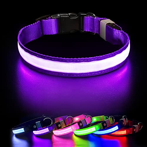 Collar Luminoso Perro, LED Collar para Perro con Luz USB Recargable y 7 Colores, Impermeable Ajustable Collares LED para Perro Pequeño Mediano Grande de Mascota, Morado-M