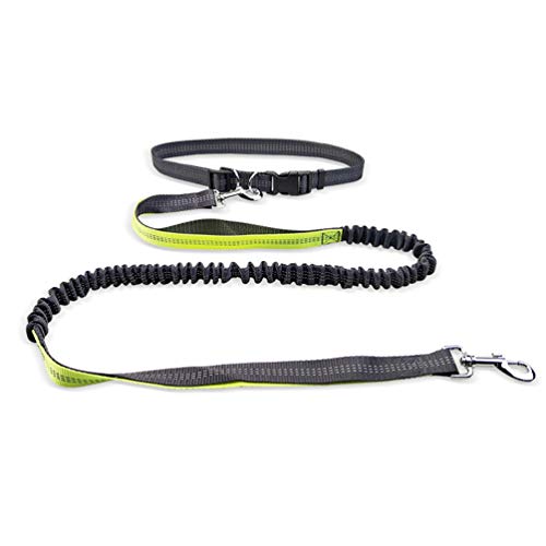 Correa de Perro retráctil y Manos Libres para Correr Caminar con Hilo Reflectante, Longitud de la Cintura Ajustable: 70-120 cm; Tamaño de la Correa: 160-190 * 2.5 cm para Perro de Menos de 110 LB