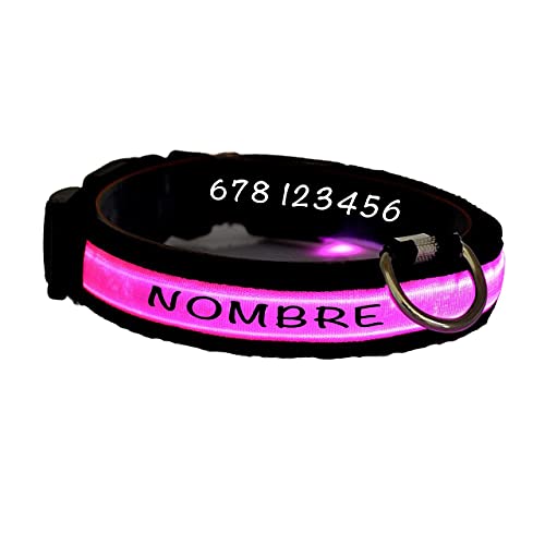 Collar Perro Personalizado con LED, Collar para Perro Luminoso y Personalizado con Nombre y teléfono, Tamaño Ajustable para Perros Pequeños Medianos Grandes (XL, Rosa con Nombre)