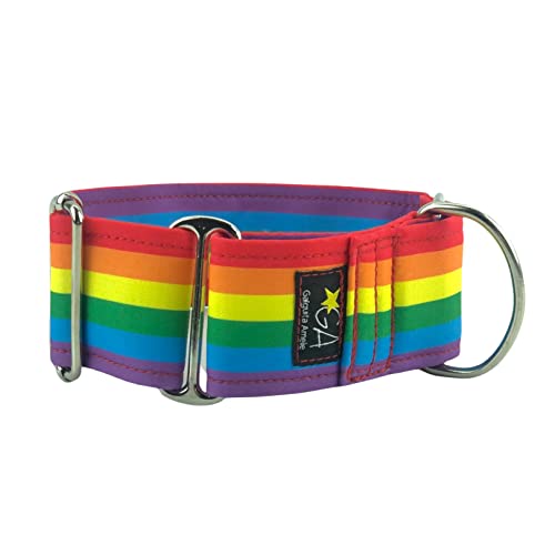 Galguita Amelie, 5cm Ancho Talla L (40cm - 49cm), Collar para Perro antiescape. Arcoiris.