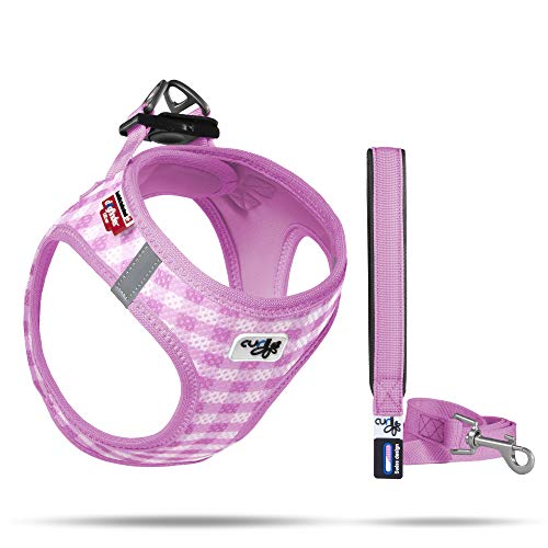 Vest Air-Mesh Pink-Caro 2XS & Leash M