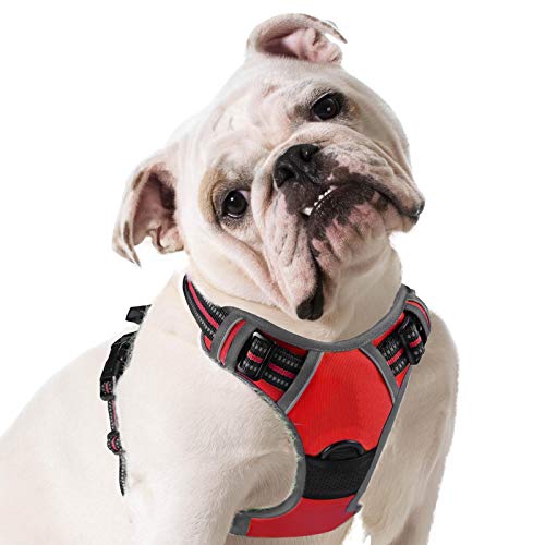 Eagloo Arnes de Perro Antitirones Cómodo Chaleco Ajustable Correa al Cuello y Pecho para Perros Pequeños Material Duradero Transpirable con Cinta Reflectante Adaptarse a Ejercer Externo M/Rojo