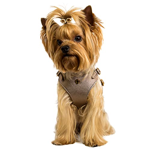 BECHIVA Tino - Arnés de piel suave para perros pequeños, gatos, mascotas, Chihuahua, Yorkshire Terrier, etc., lujo, hecho a mano en Europa, color dorado, tamaño S-L, peso ligero (pequeño) (mediano)