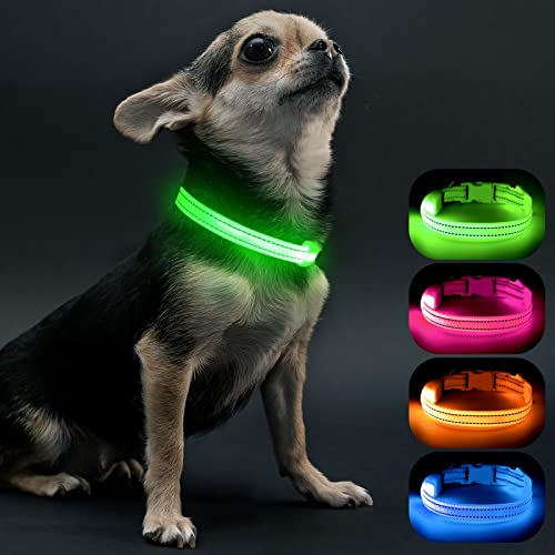 Visinite Collar Luminoso Perro,Collar Luz Perro para La Oscuridad, Nightcollares Luminosos para Perros Recargable a Prueba de Agua, Glow In The Dark Dog Light Up Collar para Caminar,Verde,S