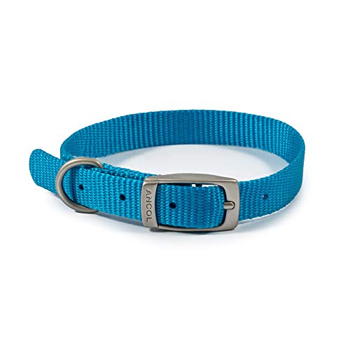 Ancol Viva - Collar Ligero con Hebilla Azul, tamaño 1 para Adaptarse a 20-26 cm, Resistente a la Intemperie