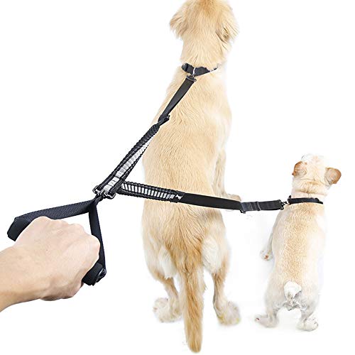 Correa Doble para Perros Grande Mediano Pequeño para Caminar y Adiestramiento 2 Perros sin Enredos, Nylon Reflectantes Double Dog Lead Longitud Ajustable Elástico Dog Leash con Asa Acolchada（Negro）