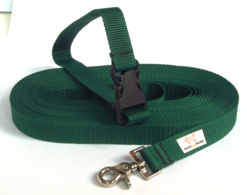 Dogs and More – Correa de Perro Extensible y con Lazo de Mano para Abrir / Correa de Entrenamiento / Correa de adiestramiento = > 15 Metros en Verde