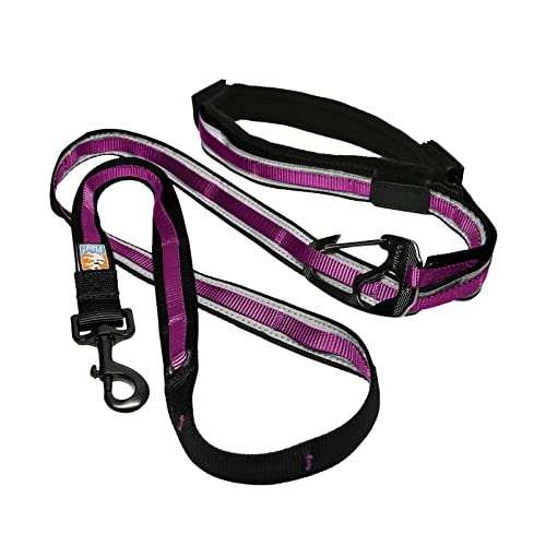 Kurgo Quantum - Correa Manos Libres para Perro, Correa de Cintura para Correr, Ajustable, Reflectante - Morado/Negro