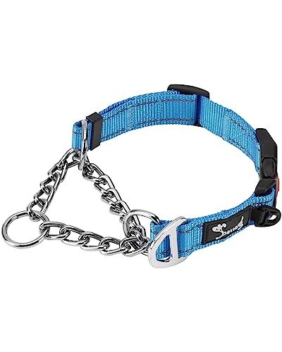 PETTOM Collar para Perros Ajustable Reflectante Nylon Acolchado Resistente Suave Martingale Collar con Metal, Hebilla de Seguridad para Perro Mediano Grande Cachorro para Correr Entrenamiento Azul