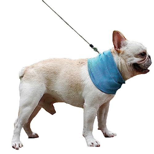 Collar de enfriamiento instantáneo para Mascotas para Perros Bufanda de Verano Pañuelo Suave y Fresco para Perros, Banda de Hielo para Mascotas Pañuelo de enfriamiento para Perros,S