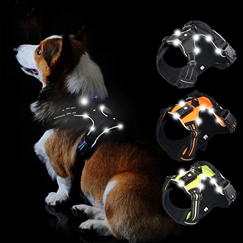 Ksttog Arnés de perro con luz LED recargable por USB, arnés de luz para perros, cómodo arnés ajustable para perros pequeños, medianos y grandes seguridad (verde, S)