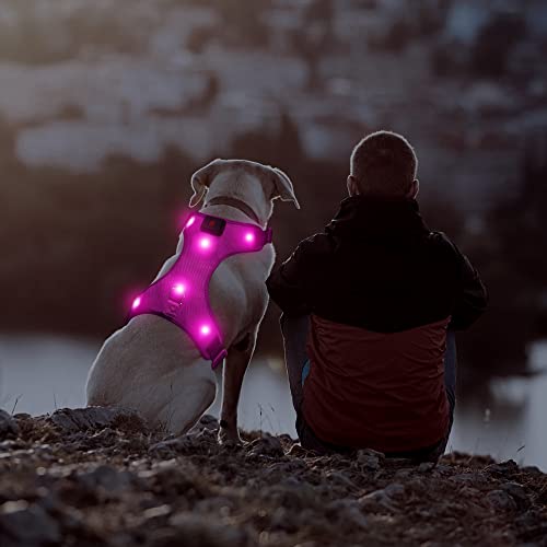 Domi Arnés de perro LED recargable por USB, arnés de chaleco para perro, sin tirones, arnés con cómodo traje acolchado para tus perros pequeños, medianos y grandes (S, rosa)