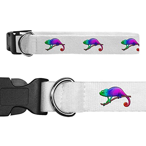 Pequeña 'camaleon Arcoiris' Collar para Perro (PR00026665)