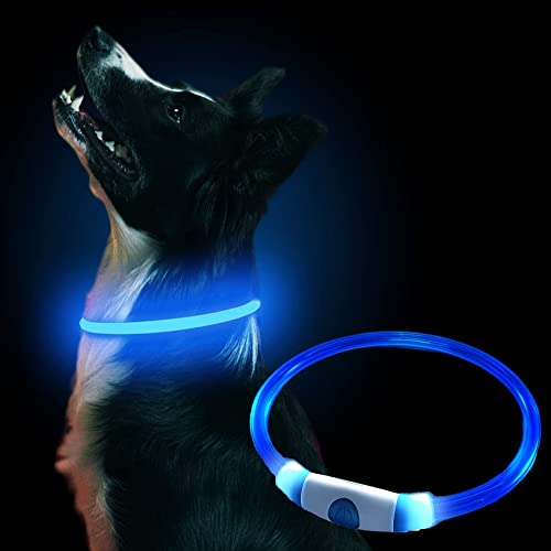 iJiZuo LED Collar Luminoso Perro, Collar de Perro de Seguridad Personalizado con USB Recargable, Ajustable Recargable 3 Modos, Collares LED para Perros Pequeños/Medianos/Grandes（Azul）