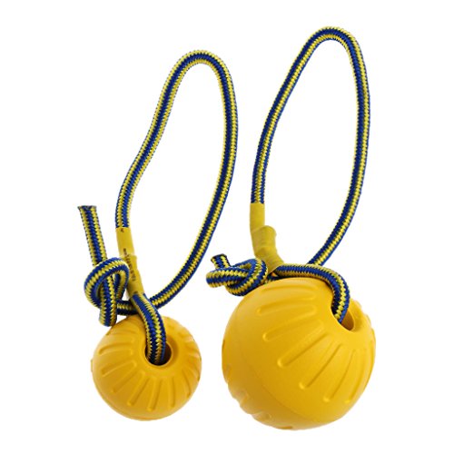 Wrubxvcd - Juguete de entrenamiento para perro de compañía, 7 cm, 9 cm, portátil EVA para perros de compañía, juguetes para masticar pelota con cuerda de soporte (grande)