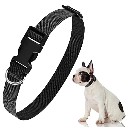 Collar para Perro, Hebilla de Liberación Rápida Ajustable, Anilla en D Nylon Collar para Perros Pequeños, Medianos y Grandes