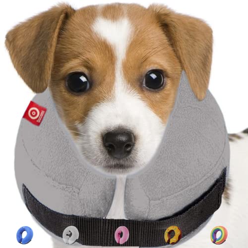 Ducomi Collar de Recuperación Inflable para Perros, Cono de Cuello Isabelino Ajustable para Mascotas Recuperación de Cirugía o Heridas - Previene la Infección por Arañazos y Picaduras (Gris, M)