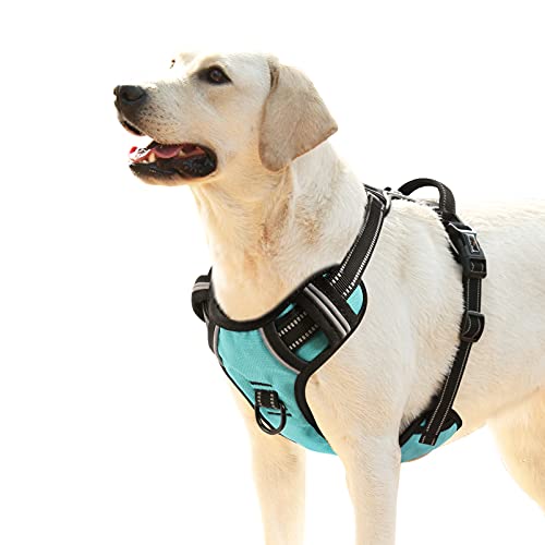 HEELE Arnés para Perro Arnes para Perros Antitirones Chaleco Reflectante Ajustable Arnés para Perro con Múltiples Utilidades Arnés Suave Acolchado para Perros Arnés Perro Grande, Turquesa, L