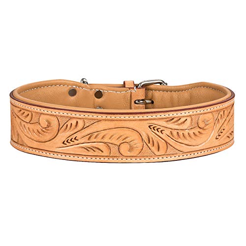 MICHUR Felipe Collar para Perro Collar de Cuero Cuero Caramelo Beige con punzonado Collares de Perro Collares de Cuero Varios tamaños