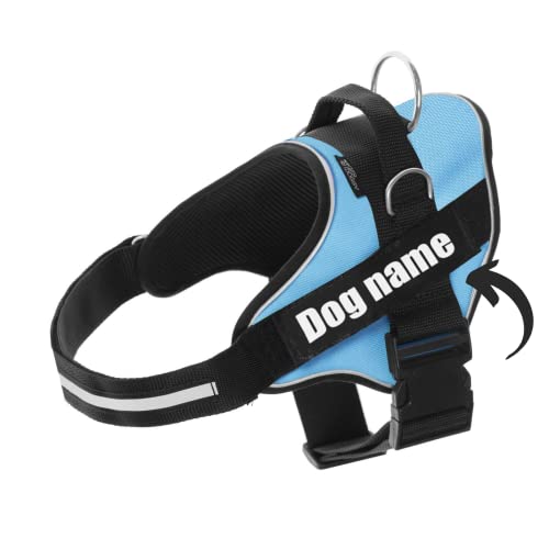 Arnes Personalizado para Perros Reflectante - Incluye 2 Etiquetas con Nombre - Tamaño Pequeño, Mediano y Grande - De Calidad y Resistente (XS 3-7KG, Azul Claro)