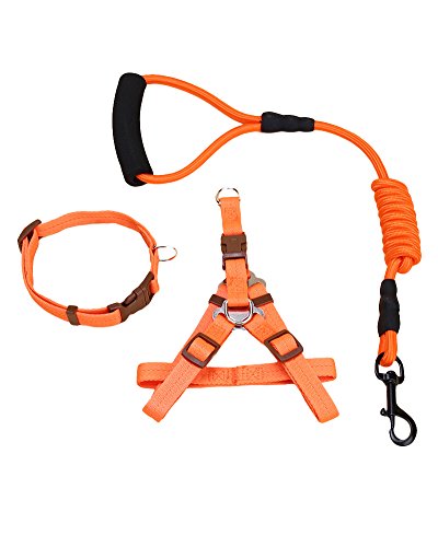 ZiXing Correa para Perros en Cuerda de Escalada de montaña Hecha de Cuerda de Nylon Muy Resistente y Confortable al Tacto Naranja3 Piezas XL