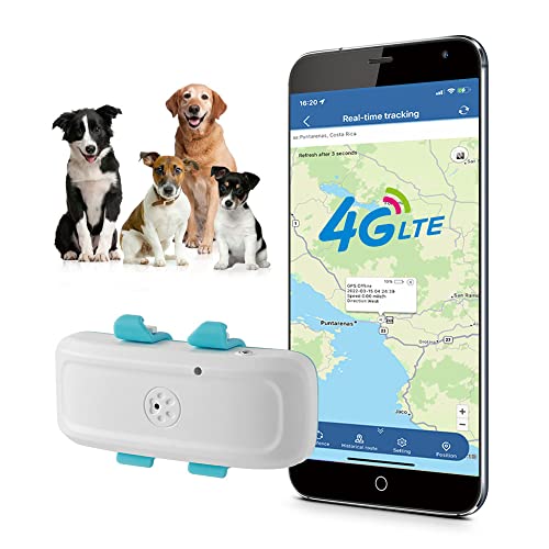 Rastreador GPS para Perros 4G,Collar GPS Perros Sin Suscripción,Ubicación en Vivo a Través de SMS/App/Plataforma Web,Alarma de Luz y Sonido,Batería de 700mAH,Resistente al Agua,TK911Pro 4G