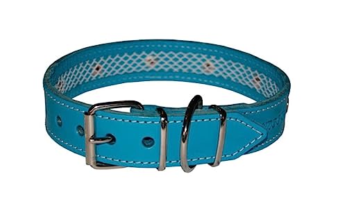 TUYNEC - Único Collar para Perros Que Protege el Collar antiparasitario Perros. Collar Perro, Hecho a Mano con Cuero de Primera Calidad Que asegura la Correcta duración del Collar antiparasitario.