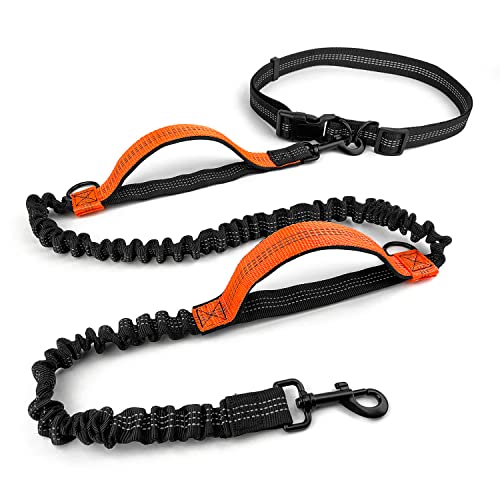 Correa Manos Libres Perro, Correas para Perros con Costuras Reflectantes y Doble Manija, Correa Perro Correr con Cinturón de Cintura Ajustable para Entrenar, Caminar, Correr