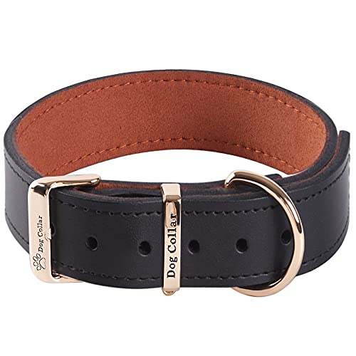 Collar de Perro Suave Grueso de Cuero Genuino para Perros de Razas Medianas Grandes y Extra Grandes (Negro, M)